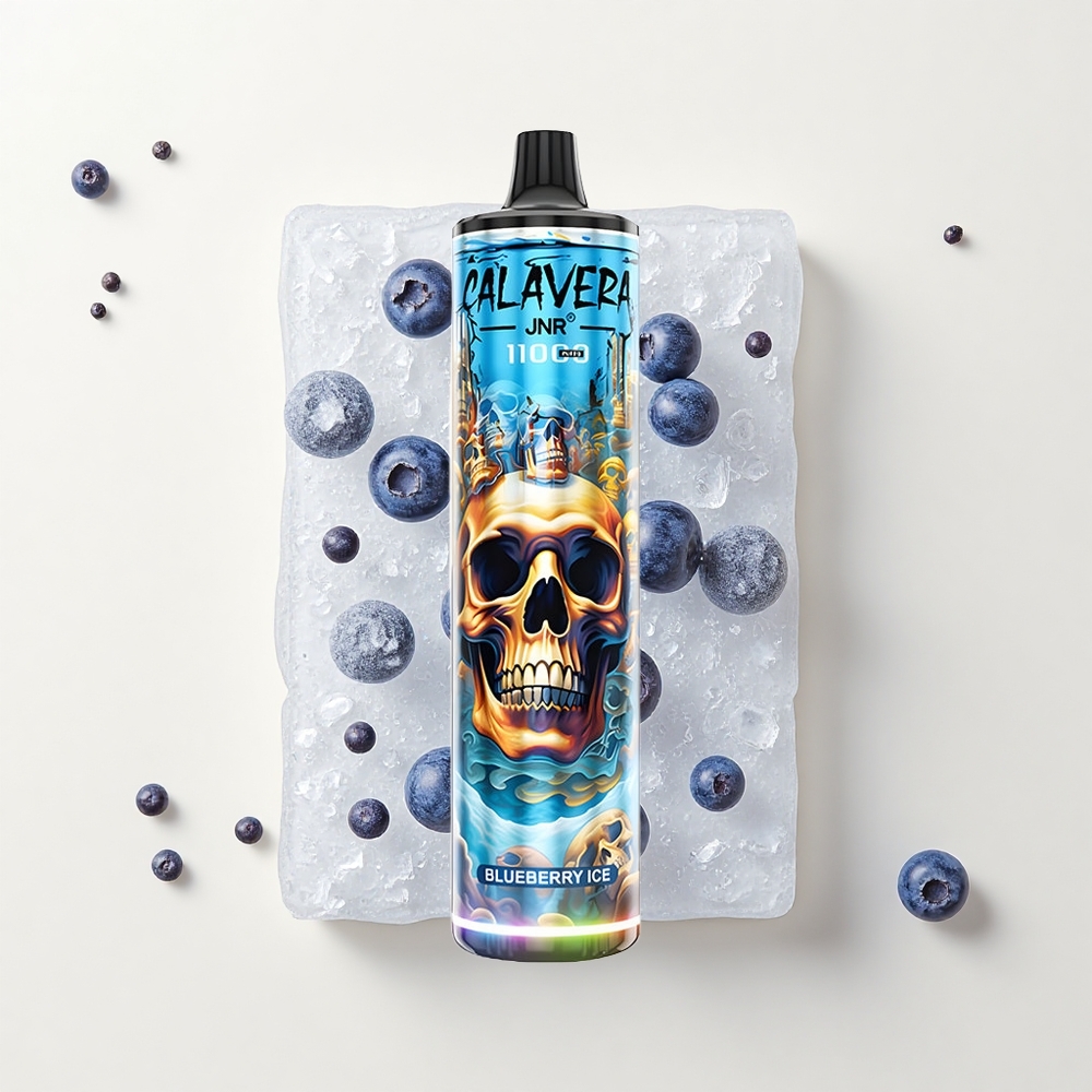 JNR Calavera 11000 Púfov Typ-C 850mAh 21ml 10ohm Boruvkový ľad