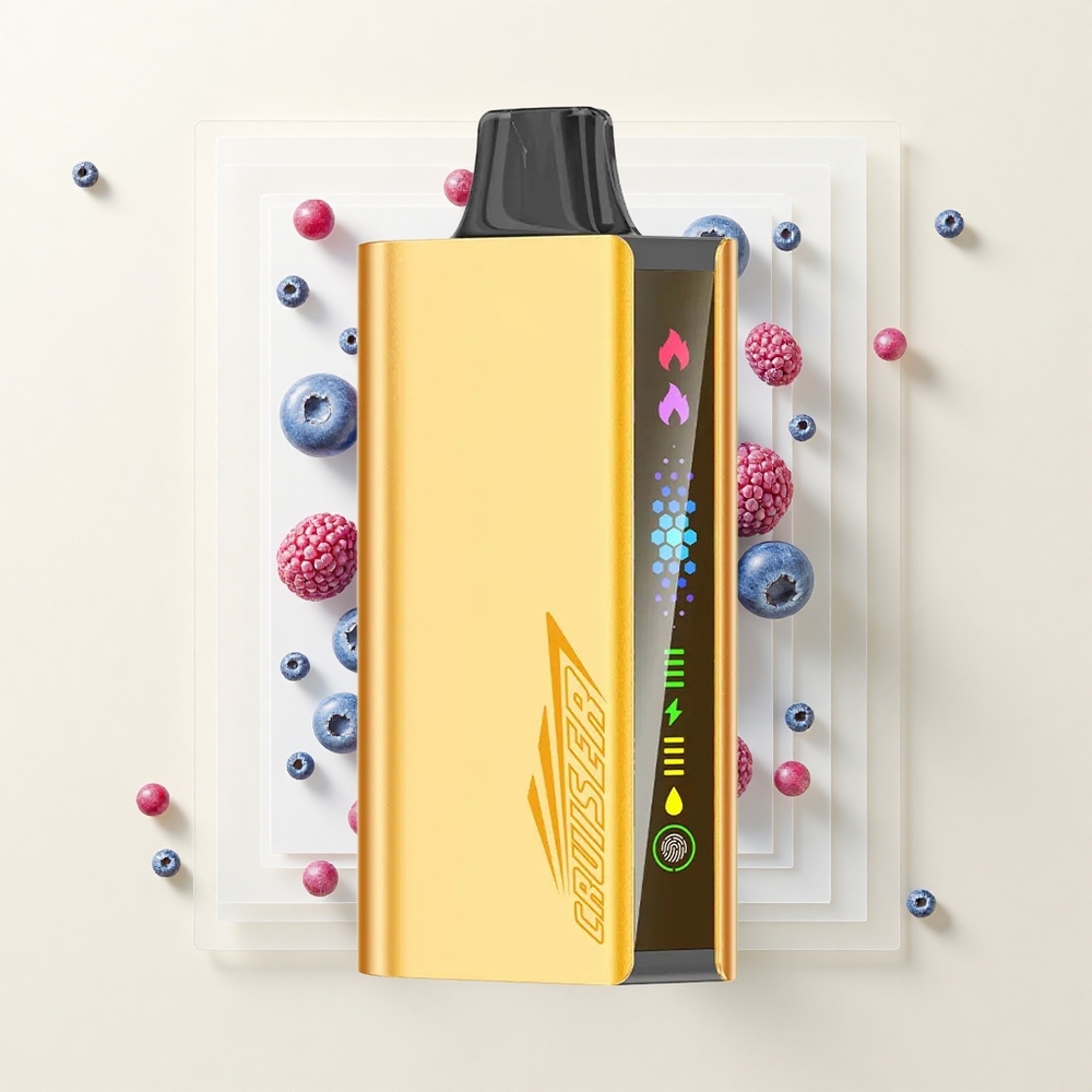 JNR Cruiser 12000 Pufov Bez-Dobíjania Jednorazová Vape Borůvkový Výbuch 3500mAh 25ml 50mg