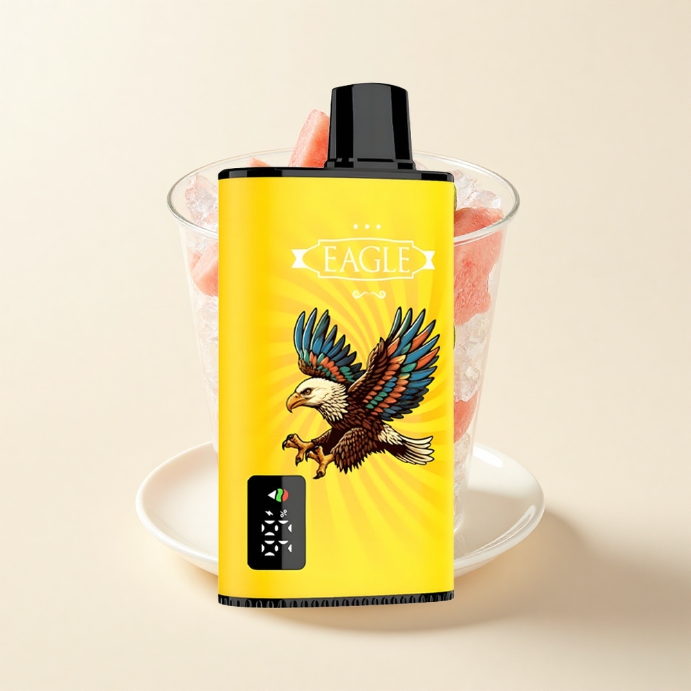 JNR EAGLE Smart 23000 Púfov Digitálny Typ-C 25ml Kiwi Melóna Ľad