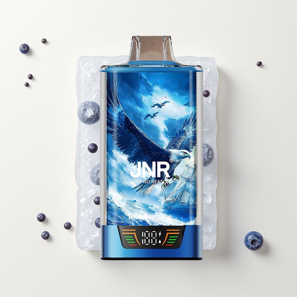 JNR Falcon Pro 28000 30ml 950mAh MTL Čučoriedková Ľadová