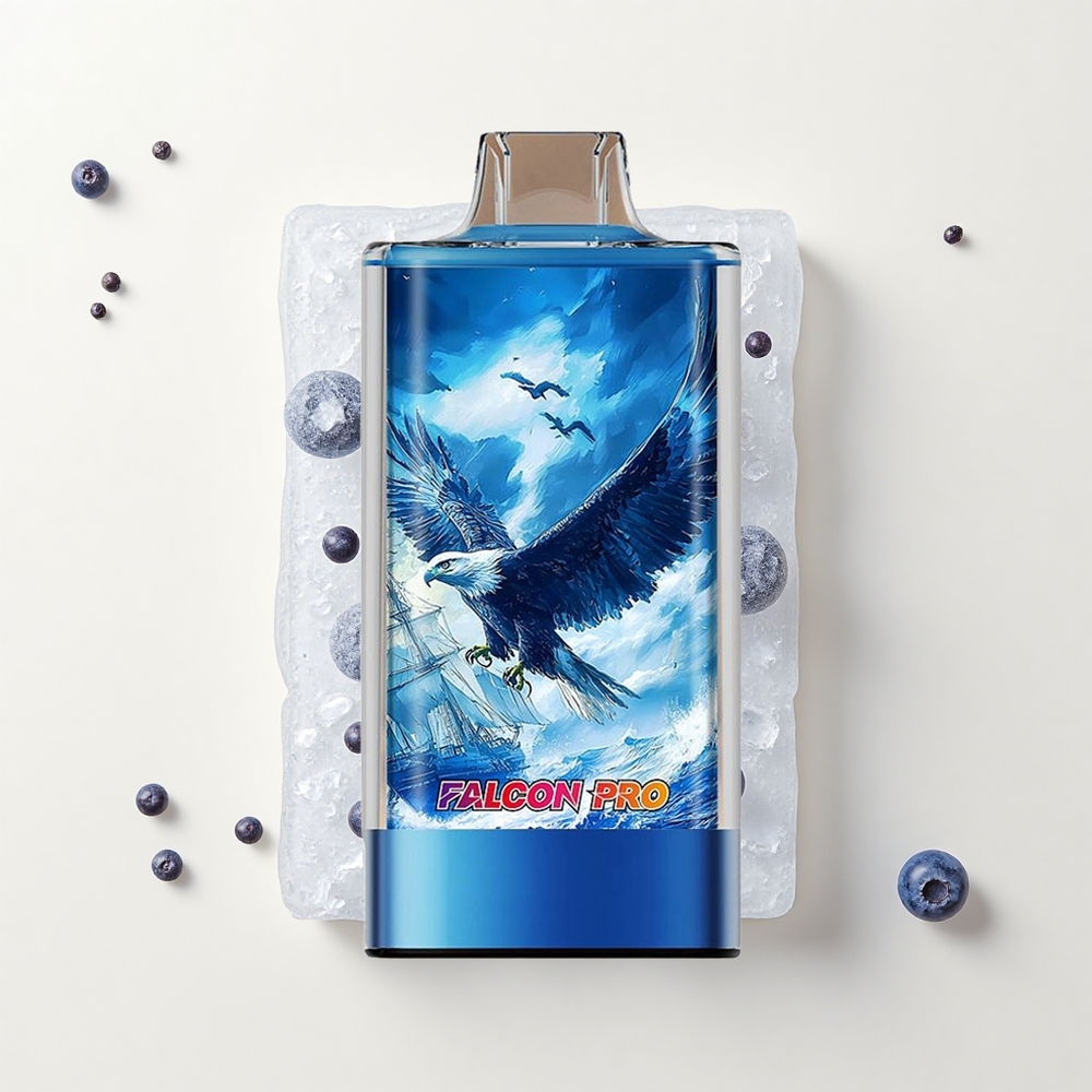 JNR Falcon Pro 28000 30ml 950mAh MTL Čučoriedková Ľadová