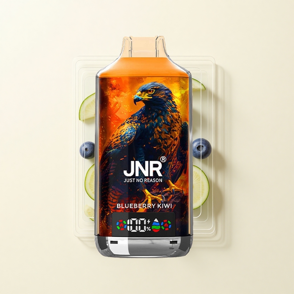 JNR Falcon X 18000 Pufov Jednorazová Vape Čučoriedka Kivi 24ml 750mAh Typ-C Duálna Mriežka Displej 0 2 5