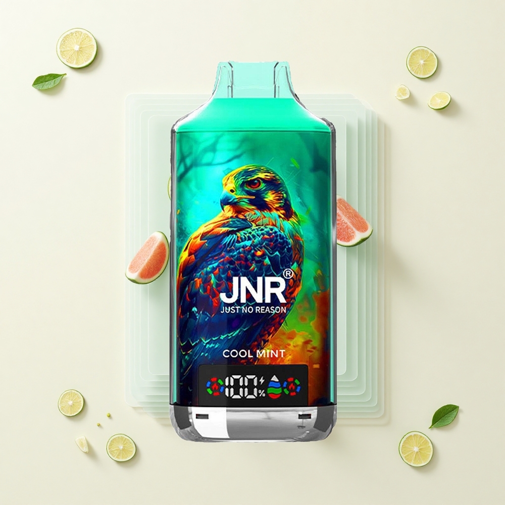 JNR Falcon X 18000 Púfov 750mAh 24ml Dual Mesh Cool Mint