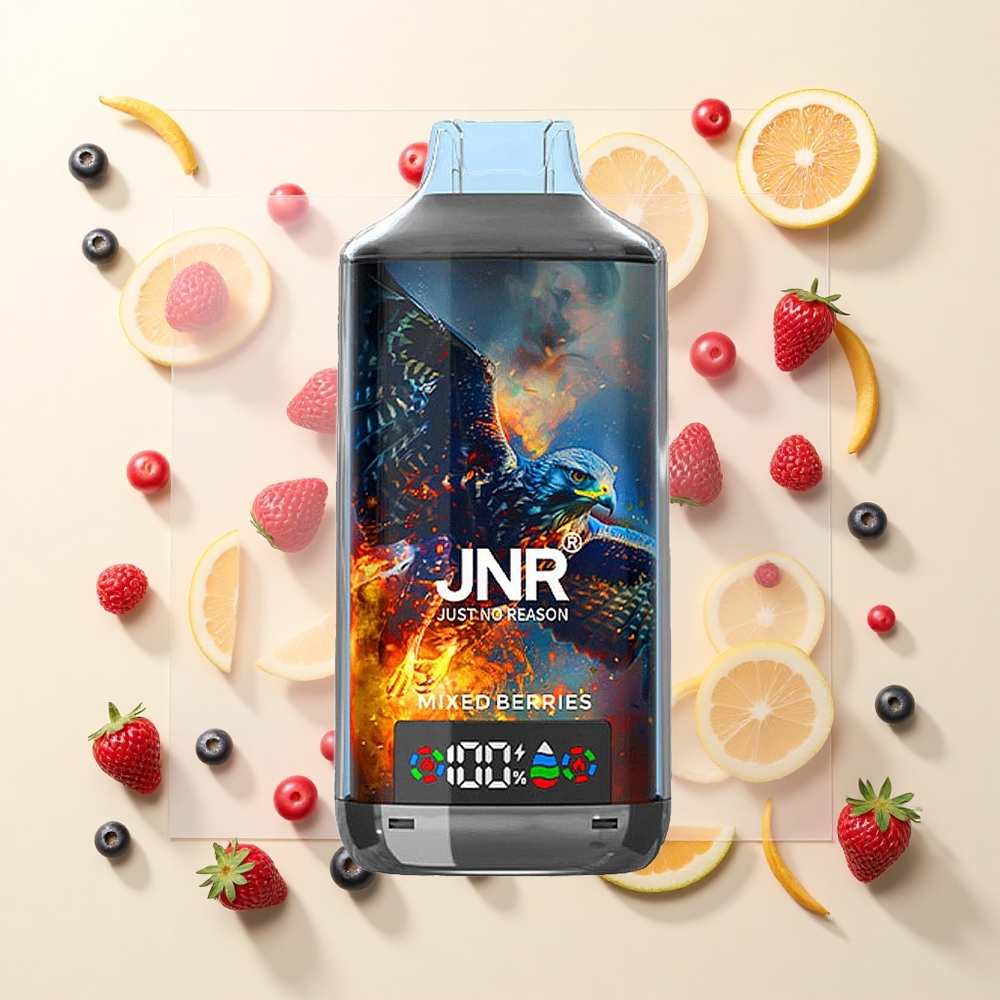 JNR Falcon X 18000 Púfov 750mAh 24ml Dual Mesh Digital Type-C 0-5 Zmiešané Bobule