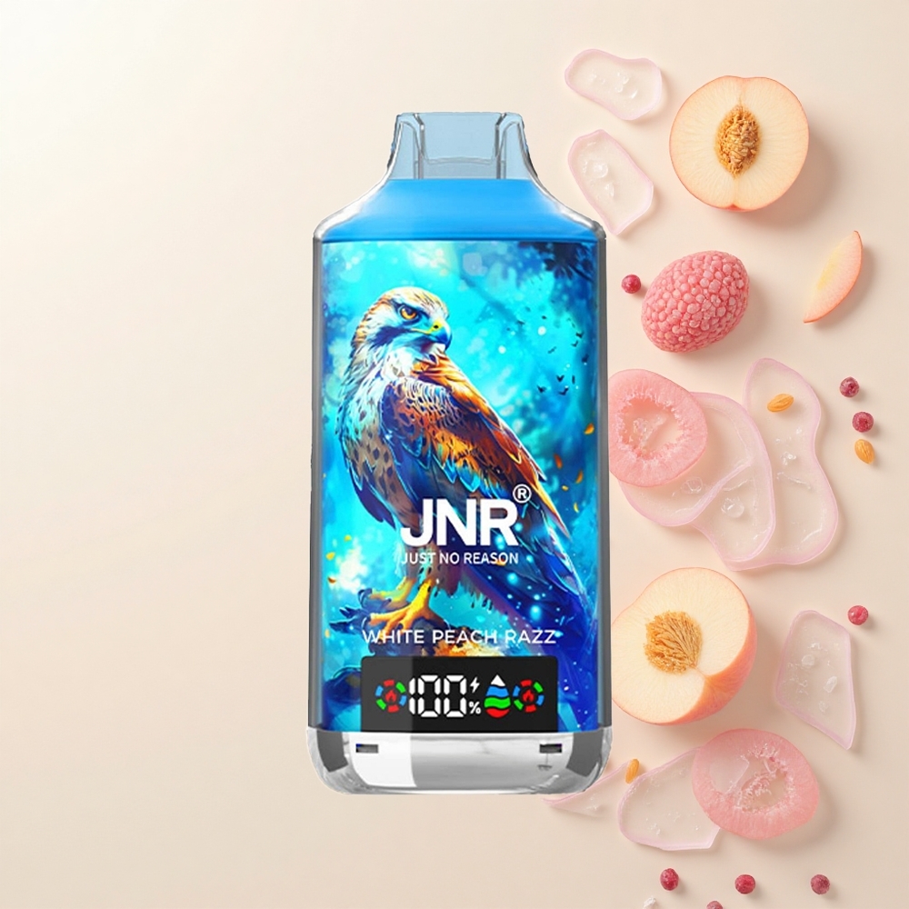 JNR Falcon X 18000 Púfov 750mAh 24ml Duálna Mriežka Digitálny Typ-C Biela Broskyňa Razz