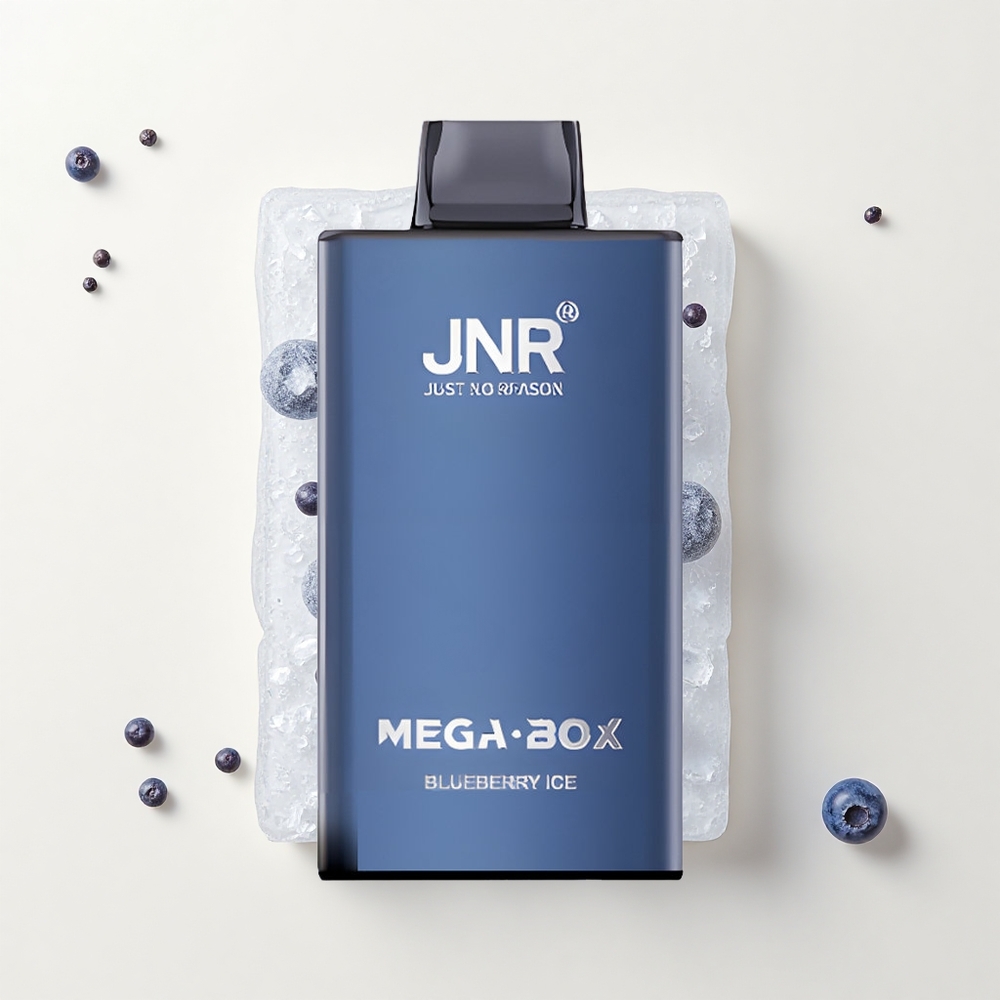 JNR Mega Box 25000 Puf Jednorazové Vape Čučoriedková Mrazená 30ml 850mAh Dual Mesh