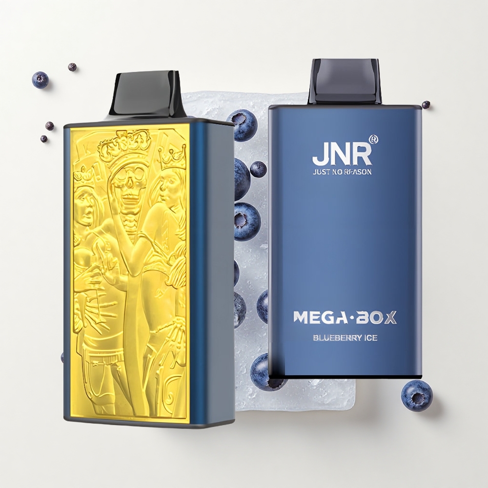 JNR Mega Box 25000 Puf Jednorazové Vape Čučoriedková Mrazená 30ml 850mAh Dual Mesh
