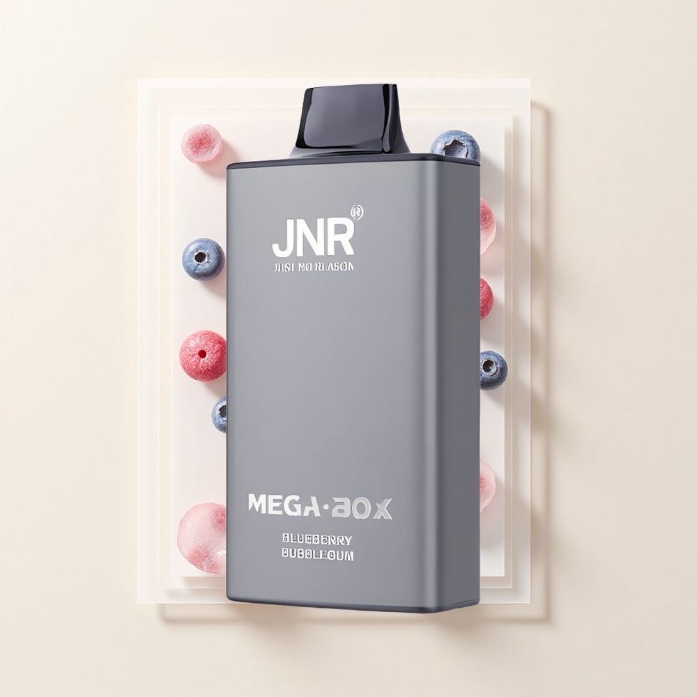 JNR Mega Box 25000 Púfov 30ml 850mAh Dual Mesh Bubblegum Čučoriedka