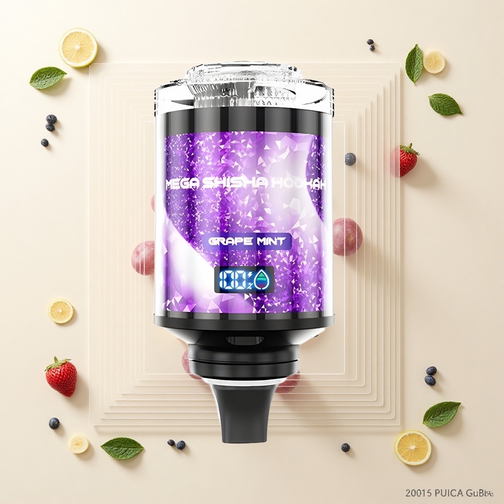 JNR Mega Shisha Hookah 100K 60ml Typ-C Grape Mint