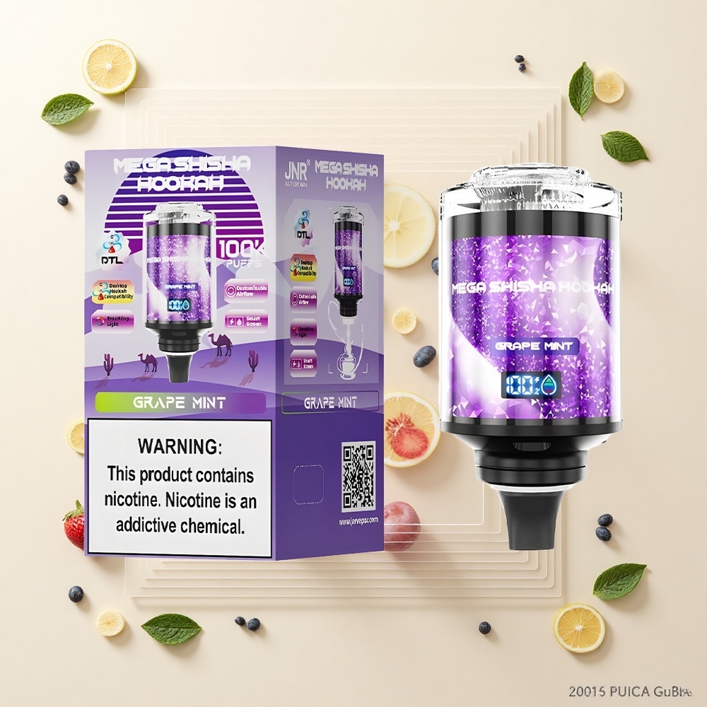 JNR Mega Shisha Hookah 100K 60ml Typ-C Grape Mint