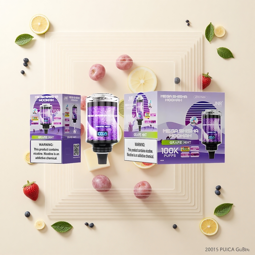 JNR Mega Shisha Hookah 100K 60ml Typ-C Grape Mint