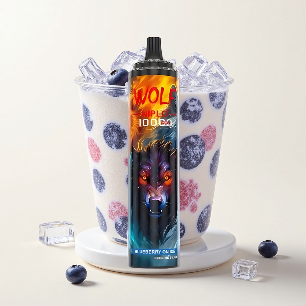 JNR Wolf Niplo 10000 Púfov 10 Ohm Mesh 650mAh 20ml Type-C Borůvka na ľade