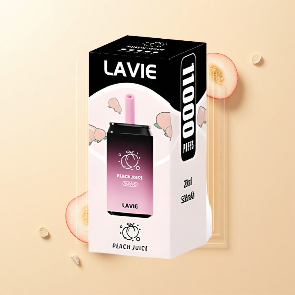 LAVIE Aurora 11000 Povuchov Batéria 650mAh Typ C Broskyňa