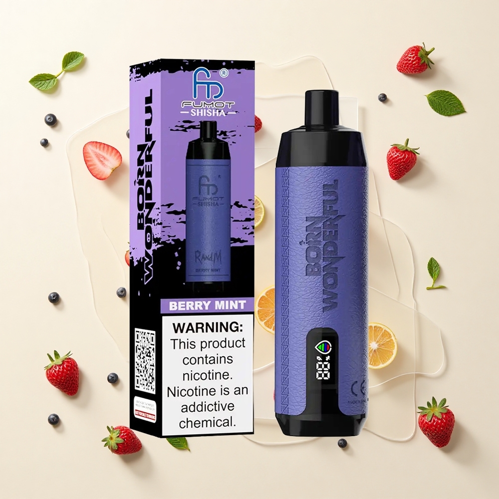 RandM Fumot Shisha 10000 Púfov Berry Mäta 18ml 850mAh 06ohm Typ-C 05