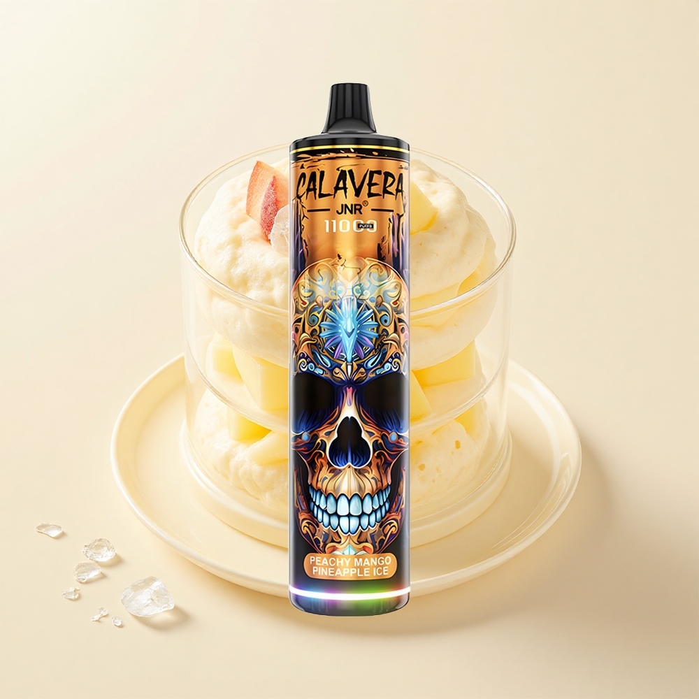 JNR Calavera 11000 Puf Jednorazové Vape Broskyňa Mangáno Ananásový Ľad Typ-C 850mAh 21ml 1.0ohm Mesh 0%2%5%